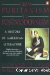 From Puritanism to Postmodernism : a history of American literature
