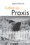 Culture as Praxis