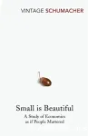 Small is Beautiful: A study of economics as if people mattered